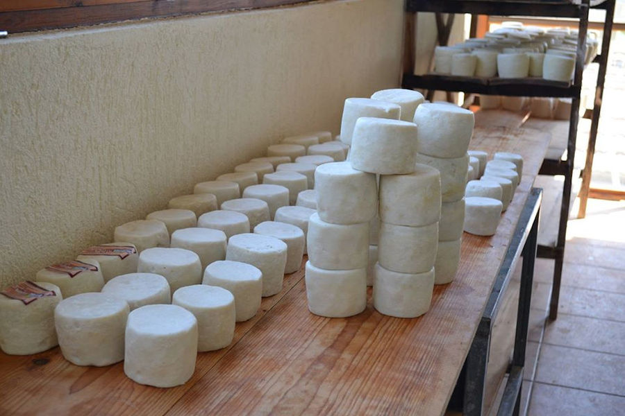 round white cheeses on top of each other on wood table at 'Vasilas Dairy' plant